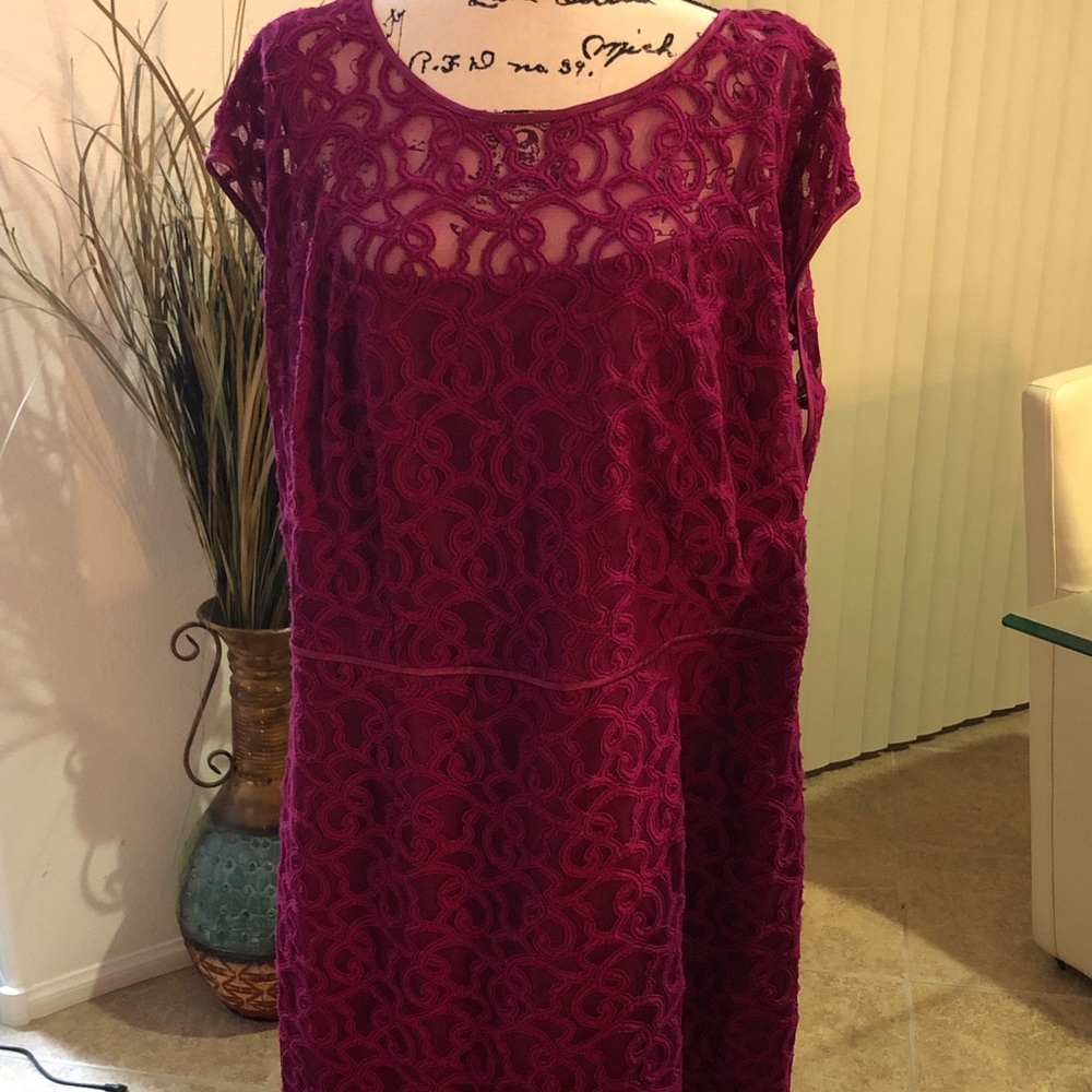 NWT Adrianna Papell Fuchsia lace dress size 22